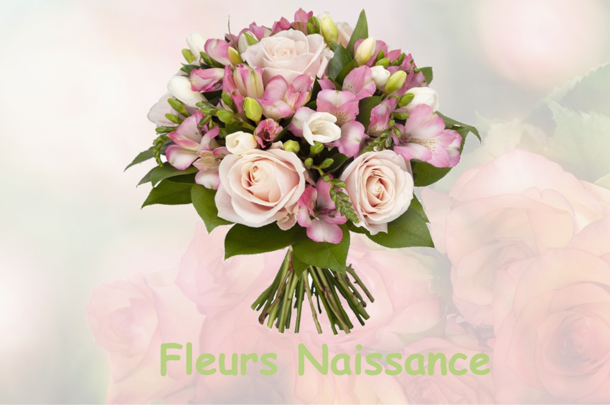 fleurs naissance NIVOLAS-VERMELLE