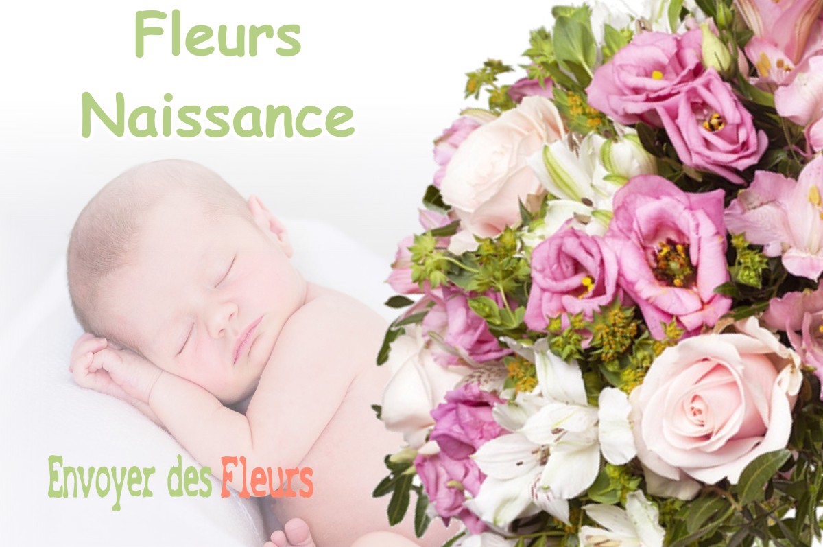 lIVRAISON FLEURS NAISSANCE à NIVOLAS-VERMELLE